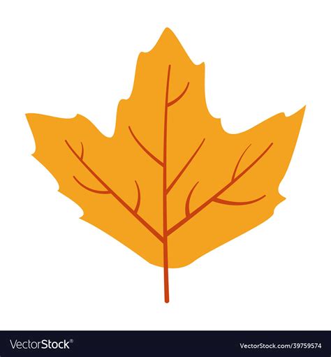 Autumn yellow leaf of a tree flat Royalty Free Vector Image