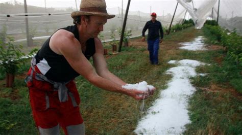 El Granizo Arrasa Varios Cultivos De Fruta En Lleida