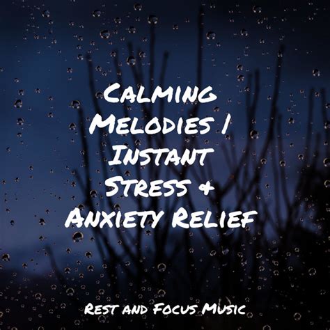 Calming Melodies Instant Stress And Anxiety Relief Album By Chillout