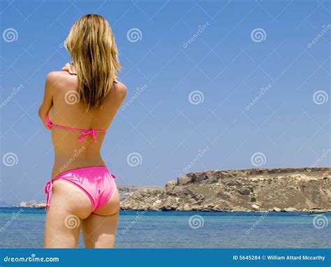 Bikini Babe Stock Photo Image Of Paradise Thong Figure 5645284