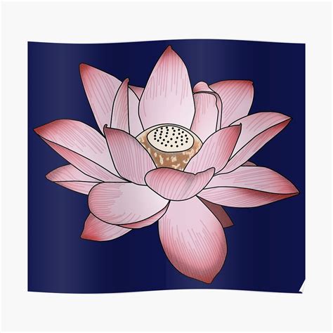 Top 119 Lotus Flower In Water Tattoo Monersathe