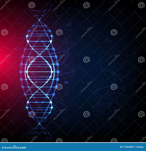 Wetenschapsmalplaatje Behang Of Banner Met Een Dna Molecules Vector