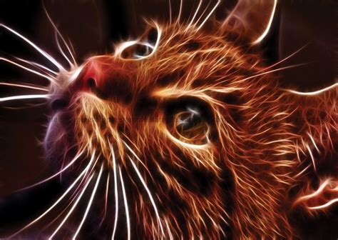 Fractal Light Art Animal Cat Small Poster Art Print A3 Size Gz1970