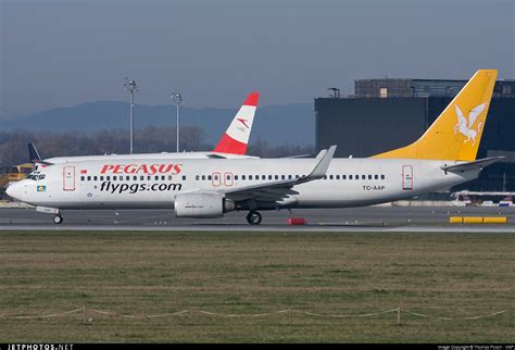 TC AAP Boeing 737 86N Pegasus Airlines Thomas Posch JetPhotos