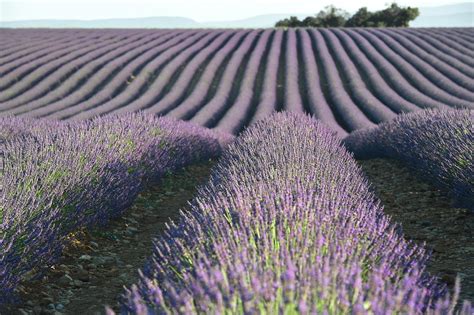 Plus De Images De Paysage De Provence Et De Provence Pixabay