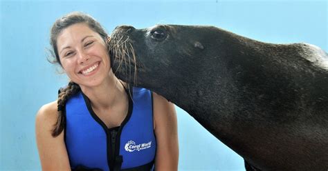 St Thomas Guided Sea Lion Encounter Getyourguide