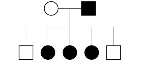 X Linked Pedigrees Made Easy Youtube