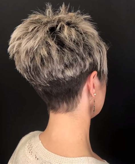 Short Stacked Pixie Bob GeorgannPyper