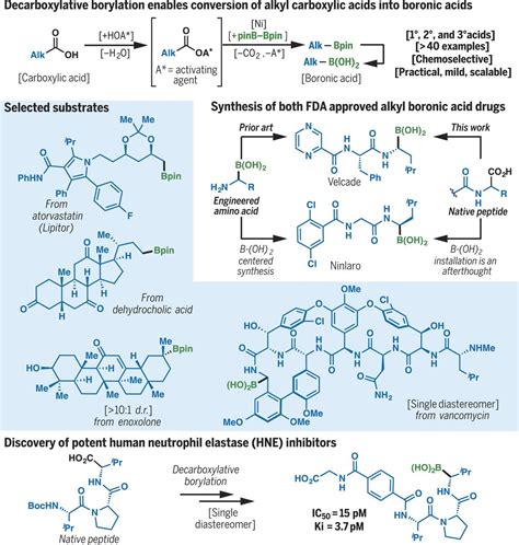 Decarboxylative Borylation Science