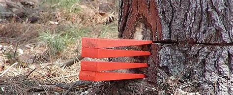 7 Best Felling Wedges For Chainsaws - Best Chainsaws UK