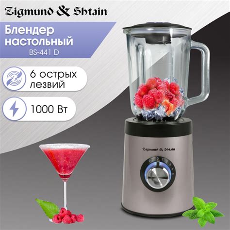 Блендер стационарный для смузи BS-441 D Zigmund & Shtain, 1000 Вт ...