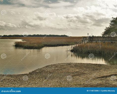 Marsh At Murrells Inlet South Carolina Stock Photo Image Of Ocean