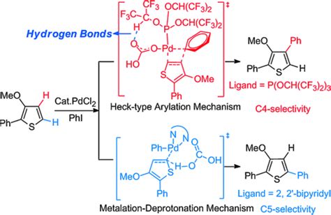 Mechanistic Origin Of Ligandcontrolled Regioselectivity In Pd