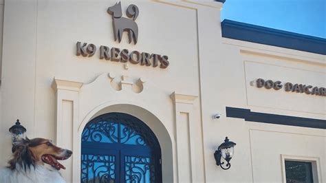 Upscale Pet Services K9 Resorts Luxury Pet Hotel Franchises