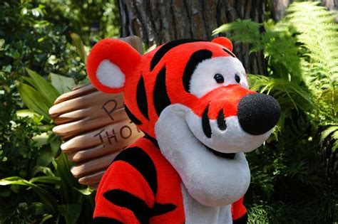 Tigger - Disneyland | Tigger disney, Tigger, Disney world pictures