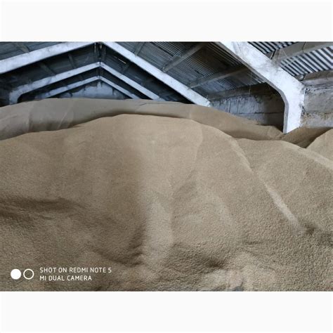Продам ячмень — Agro-Kazakhstan