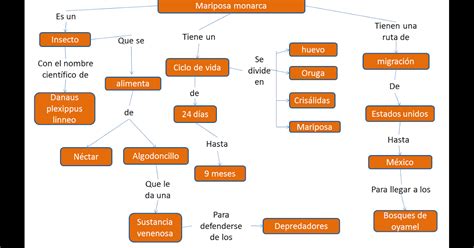 Biologia IV Mapa Conceptual De La Mariposa Monarca