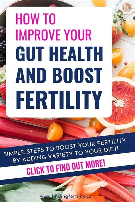 Boost Your Fertility By Eating These 5 Healthy Gut Foods Finding Fertility Artofit