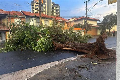 Chuva Em Sp Mata Seis Pessoas Derruba árvores E Moradores Ficam Mais