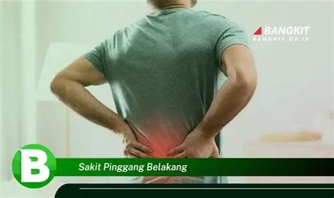 Intip Rahasia Sakit Pinggang Belakang Yang Wajib Kamu Tahu