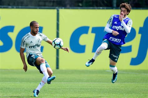 De Olho No Vice Palmeiras Pega Botafogo Em Ltimo Jogo No Palestra