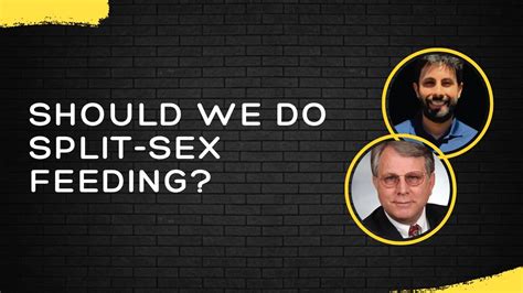 Should We Do Split Sex Feeding Wayne Cast Youtube