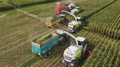 Ensileuses Dans Le M Me Champs Pour Attaquer Les Ensilages