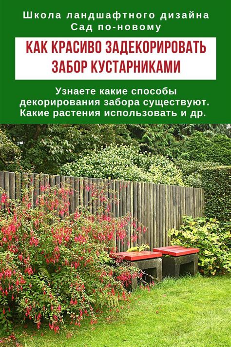 Красиво задекорировать забор кустарниками несложно - главное знать как ...