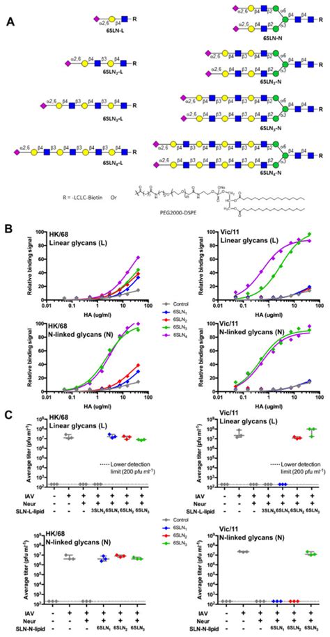 Glycan Binding Specificity Of H3n2 Hk 68 And Vic 11 For Host Cell