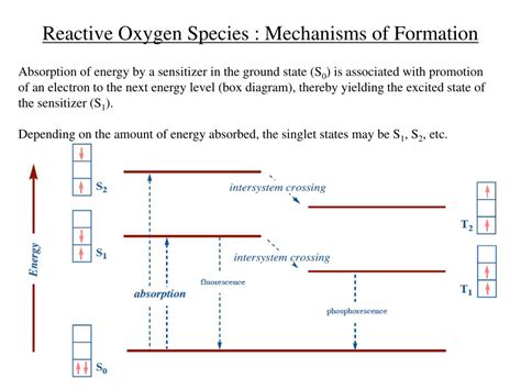 PPT - Oxygen Radicals and Reactive Oxygen Species PowerPoint ...