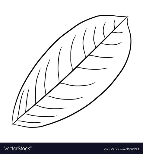 Leaf Of Plant From The Contour Black Brush Lines Vector Image