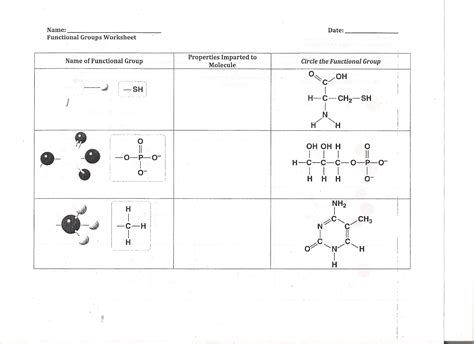 Identifying Functional Groups Worksheet Printable And Enjoyable Learning