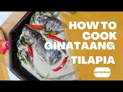 Ginataang Tilapia How To Cook Ginataang Tilapia Tilapia Recipe