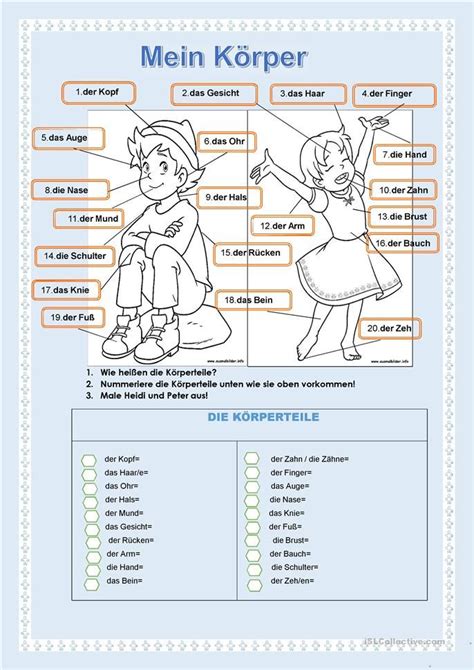 Körperteile Arbeitsblatt Kindergarten - Nathan Hernandes Grundschule