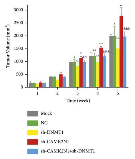 Dnmt Reverses The Tumor Suppressive Effect Of Camk N In Pca Cells In