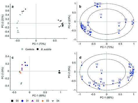 Principal Component Analysis Pca Scores Plots Left And Loadings