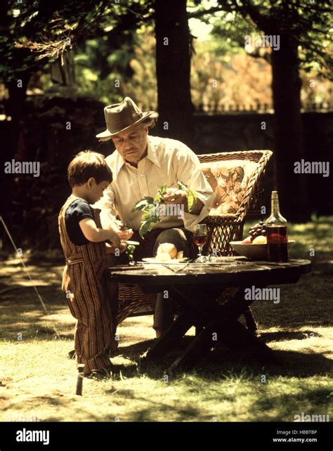 THE GODFATHER, Marlon Brando, 1972 Stock Photo - Alamy