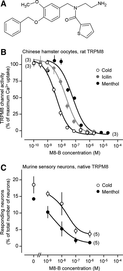 Pharmacological Blockade Of The Cold Receptor Trpm Attenuates