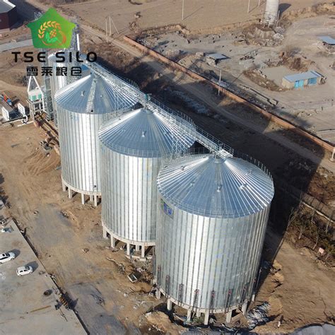 Shelley Factory Direct Sale 3000 5000 10000 Tons Farm Grain Storage