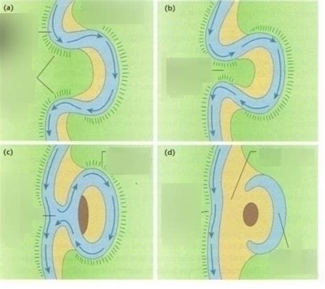 Oxbow Lake Diagram Diagram Media