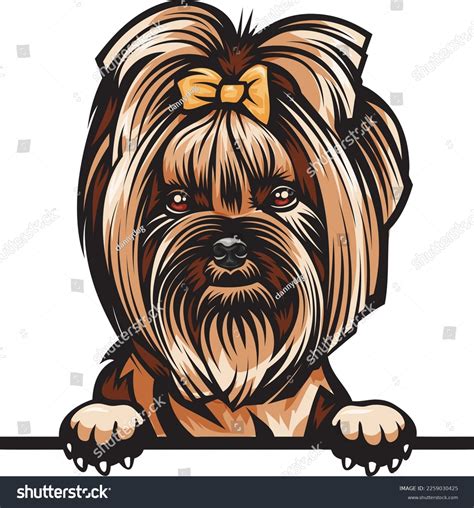 Yorkie Color Peeking Dogs Color Image Stock Vector (Royalty Free