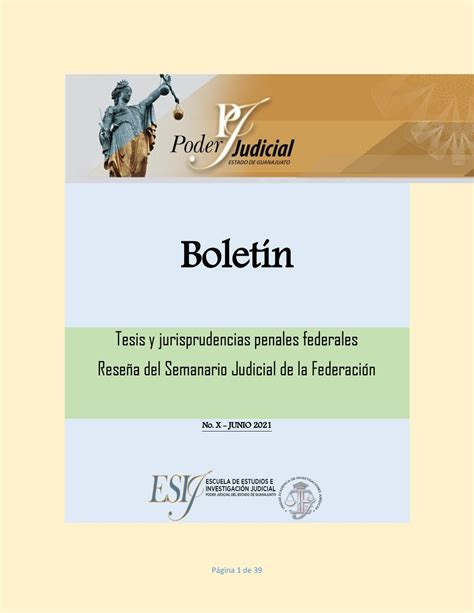 BoletÍn X Del Poder Judicial Del Estado De Guanajuato Reseña Del Sjf