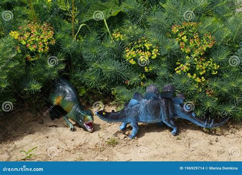 Toy Stegosaurus And Tyrannosaurus Rex Are Standing On The Ground