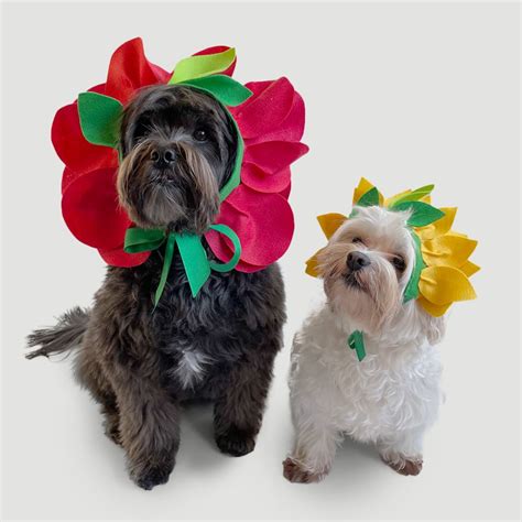 Fantasia Para Cachorros E Gatos Flor Rosa Vermelha Bichinho Virtual