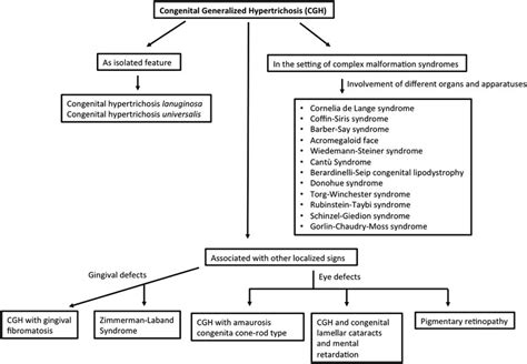 Diagnostic Algorithm For Congenital Generalized Hypertrichosis