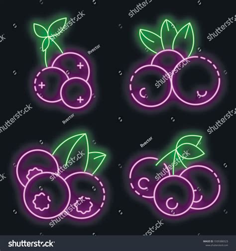 Bilberry Icon Set Outline Set Bilberry Stock Vector Royalty Free