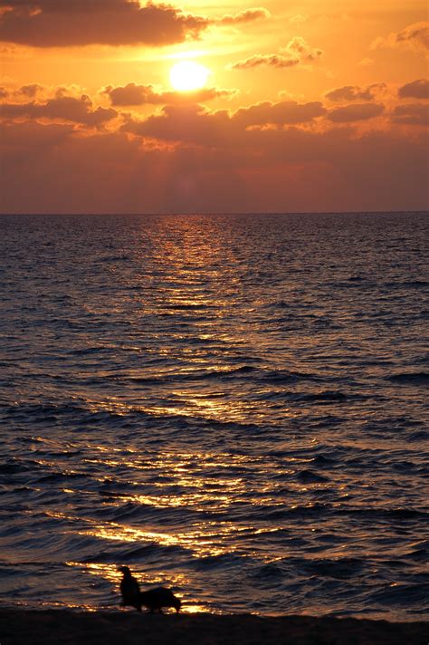 無料画像 ビーチ 海岸 海洋 地平線 雲 日の出 日没 太陽光 朝 夜明け 夕暮れ イブニング 反射 水域