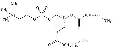 二硬脂酰磷脂酰胆碱 Distearoyl L α Phosphatidylcholine 816 94 4 四川省维克奇生物科技有限公司