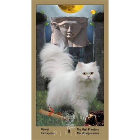 Таро Катавасия купить в интернет-магазине Пифиум