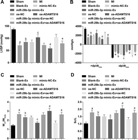 Upregulated Exosomal Mir B P Improves Cardiac Hemodynamic Function